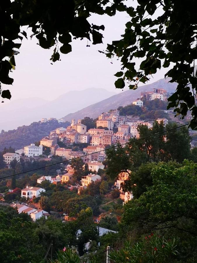 Villa Milanu Oletta  Dış mekan fotoğraf