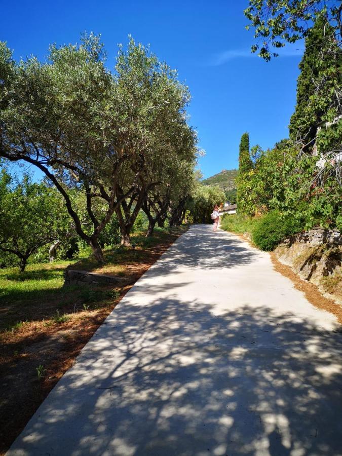 Villa Milanu Oletta  Dış mekan fotoğraf
