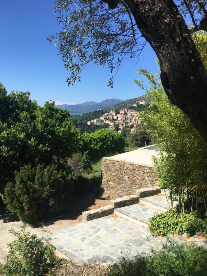 Villa Milanu Oletta  Dış mekan fotoğraf