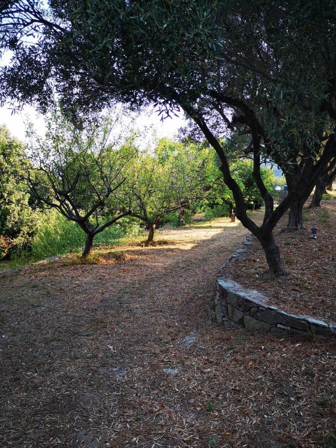 Villa Milanu Oletta  Dış mekan fotoğraf